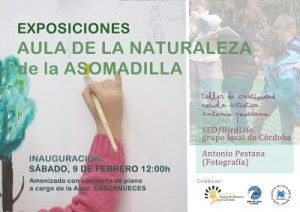 Exposición Asomadilla